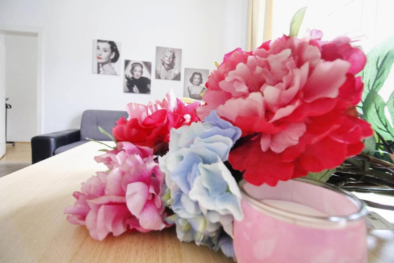 Comfortable Rooms Near Schoenbrunn Palace Hl Wien Ngoại thất bức ảnh